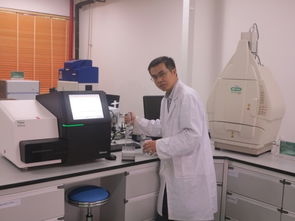 人員隊(duì)伍 公共技術(shù)服務(wù)中心