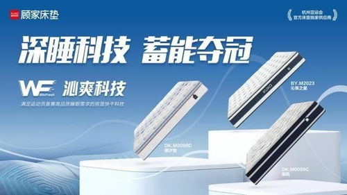 顧家家居副總裁劉宏 發揮主人翁精神助力亞運,顧家家居深睡艙受媒體點贊